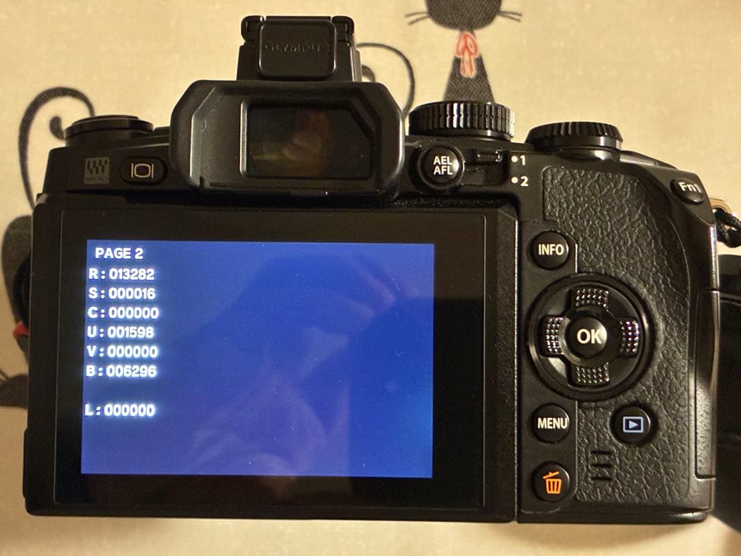 【美品】OLYMPUS OM-D E-M1ミラーレス一眼カメラ