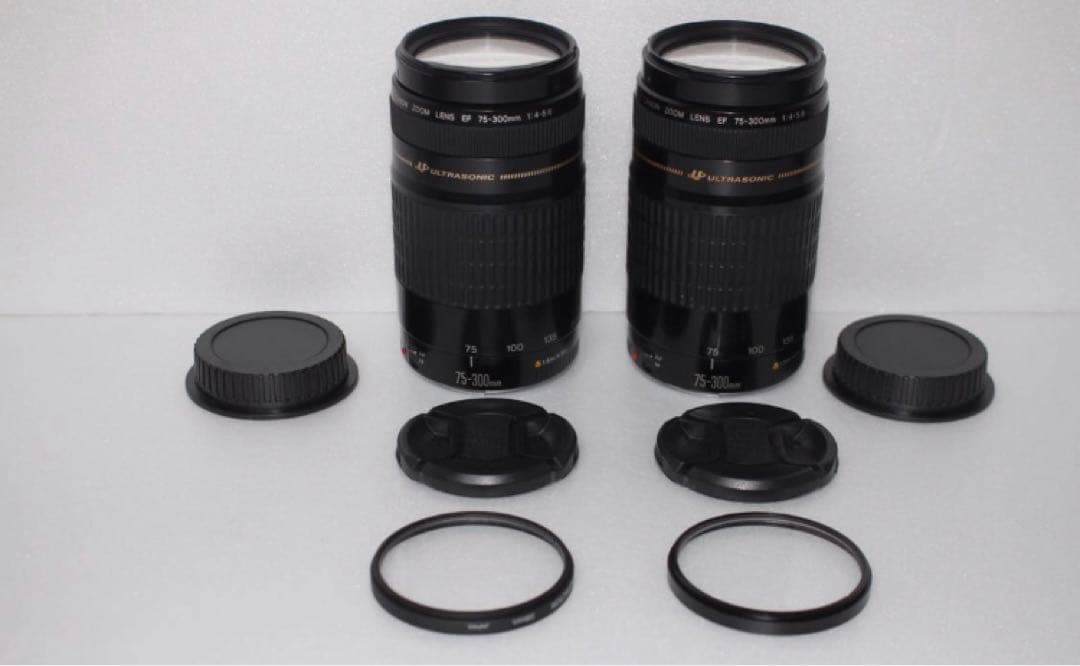 （2セット） 遠くも撮れる Canon EF75-300  F4-5.6 II