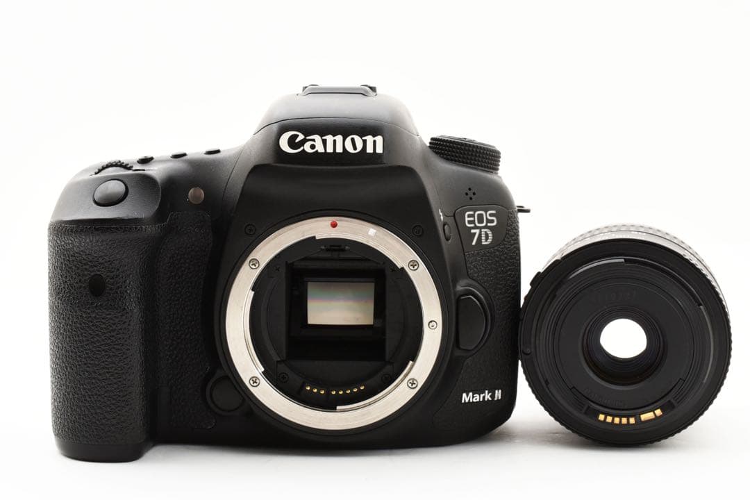 保証付/Canon EOS 7D MarkⅡ +Canon EF28-80