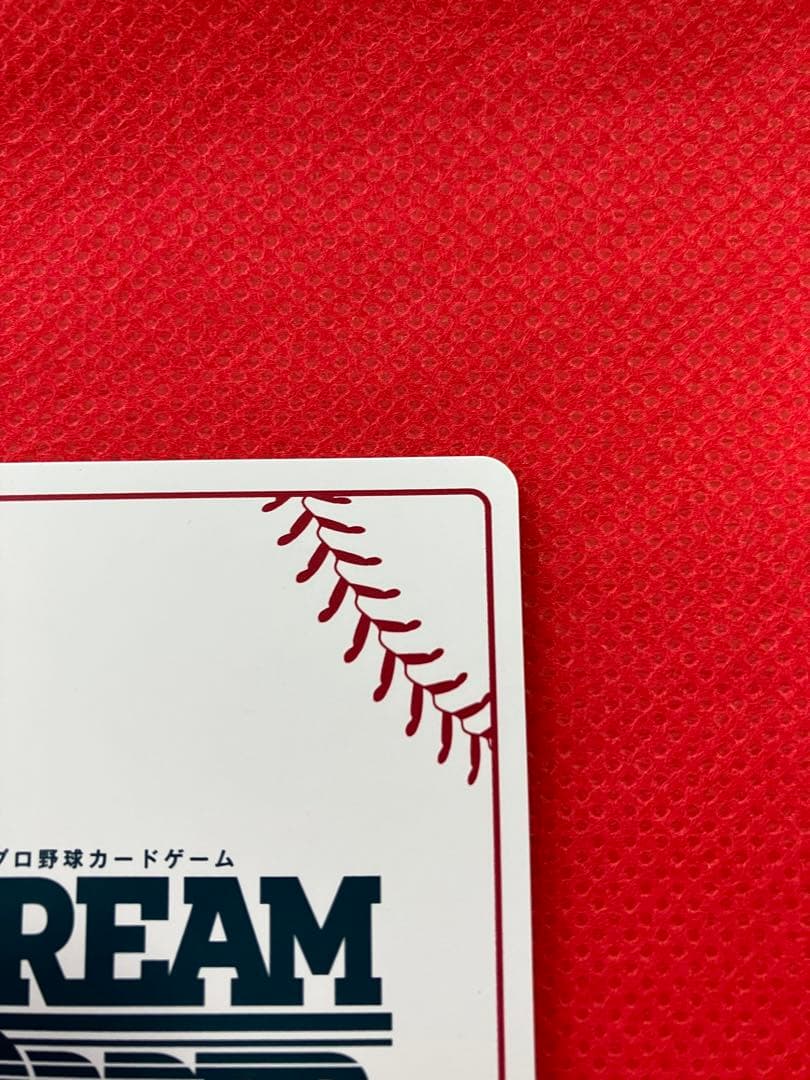 ドリームオーダー　夢の共燕　つば九郎　LG