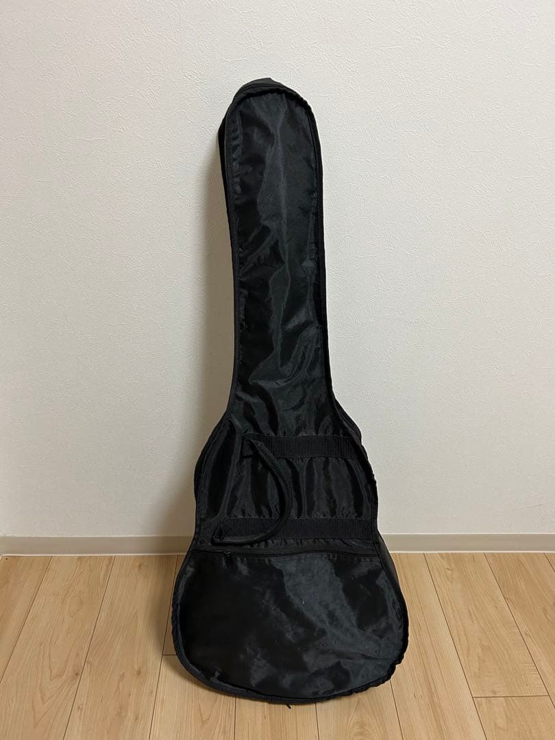 Aria エレクトリックアコースティックギター カバー、ピック付き