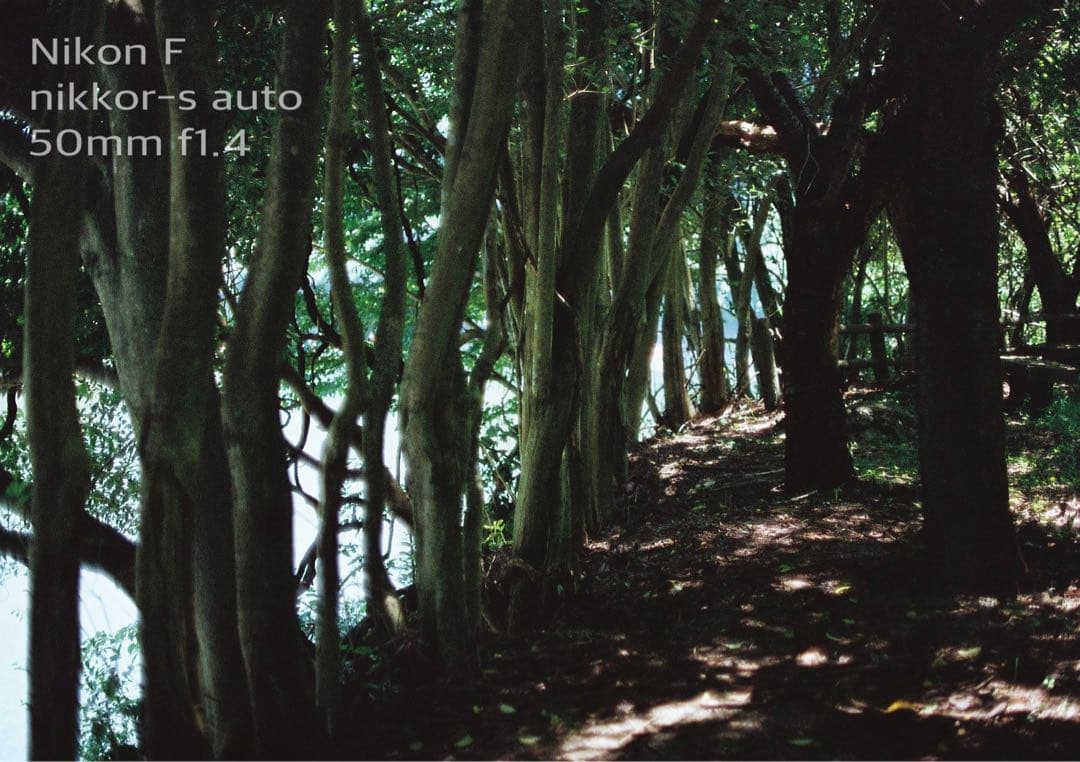 ★完動品＊美品★nikon f★f1.4レンズセット★動作確認済み＊作例多数