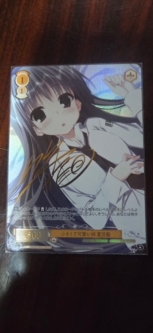 ヴァイスシュヴァルツロゼ　小さくて可愛い姉　夏目藍　PR+