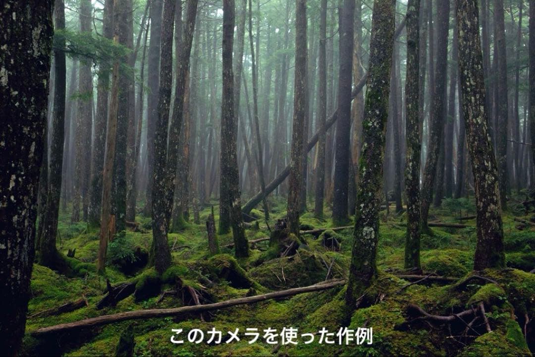 デジタルカメラ ma