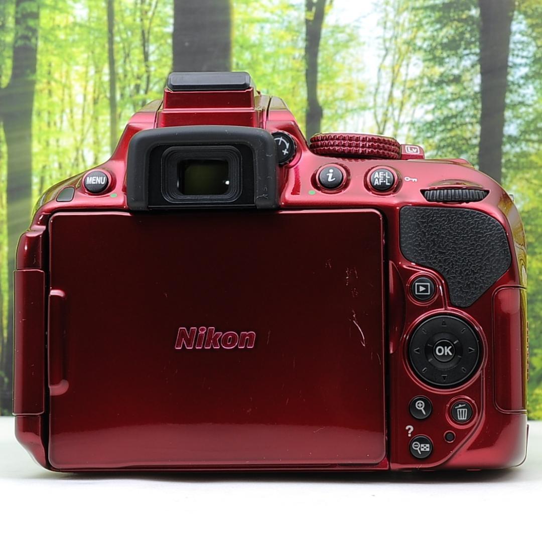 ショット数137枚？！WiFi付き一眼レフ☆ニコン D5300+AF-Pレンズ