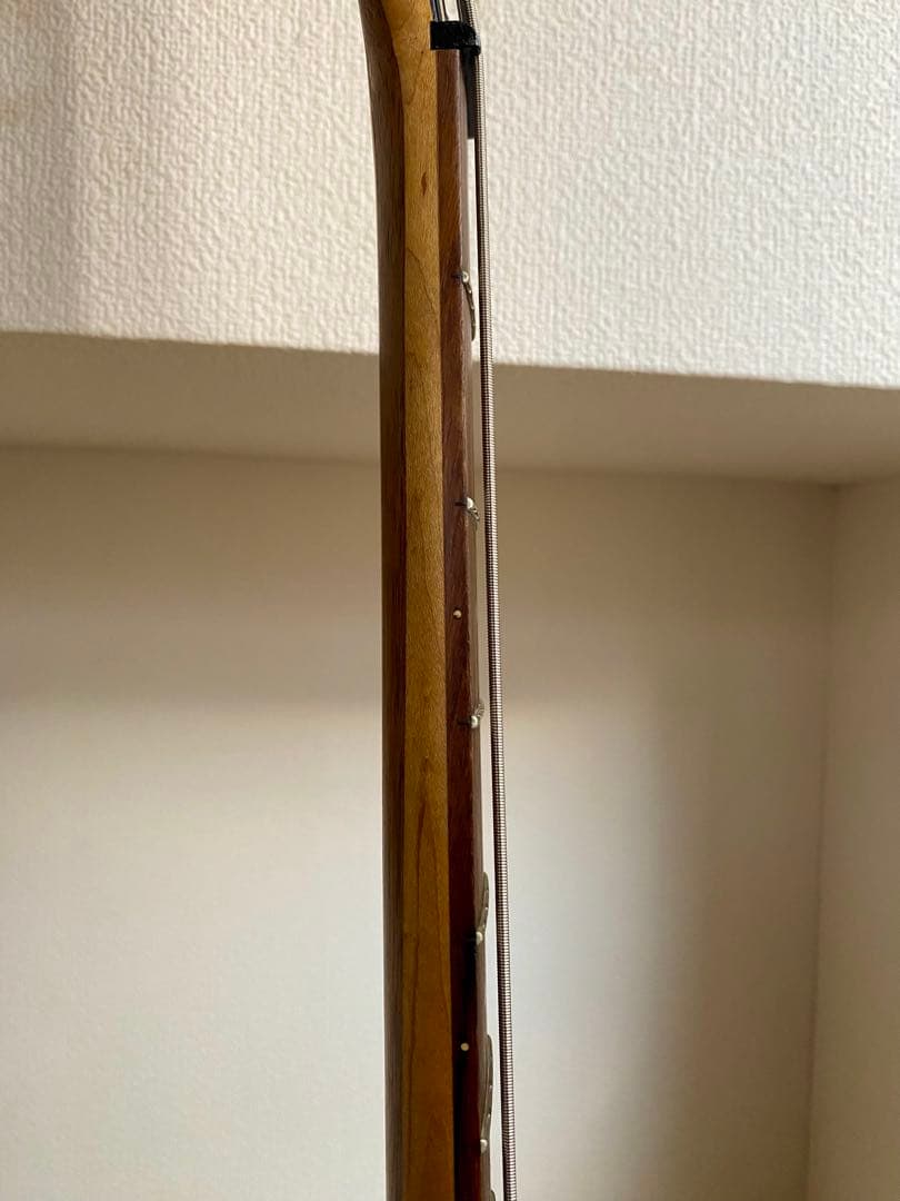 Epiphone T-Bird PRO Thunder Bird 4弦