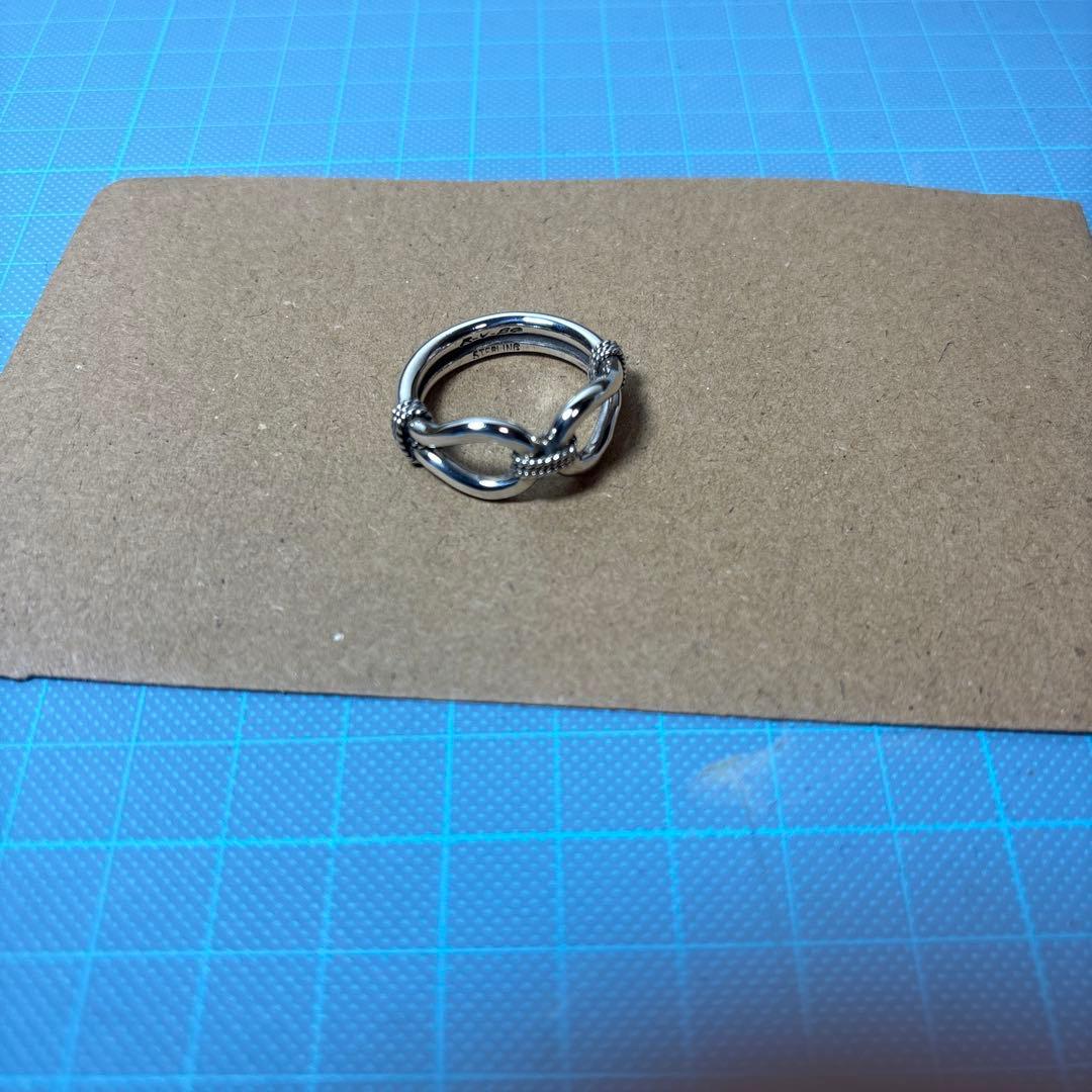 スティーブアルビソ　ホースウィスパラーリング　20号