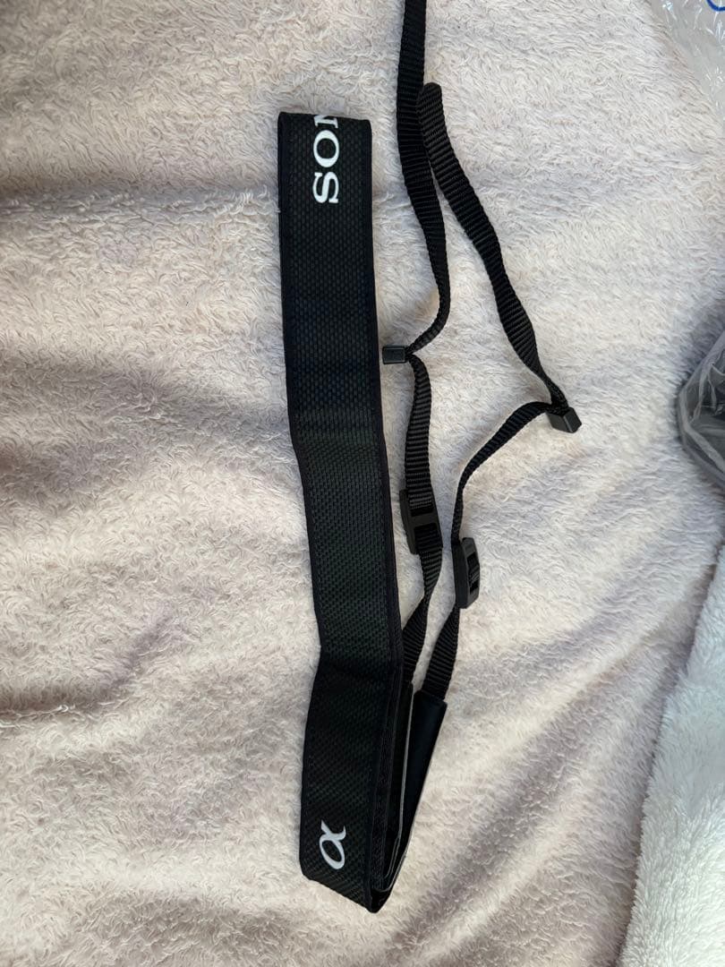 Sony α6000 ミラーレス一眼 E 18-50 OSS