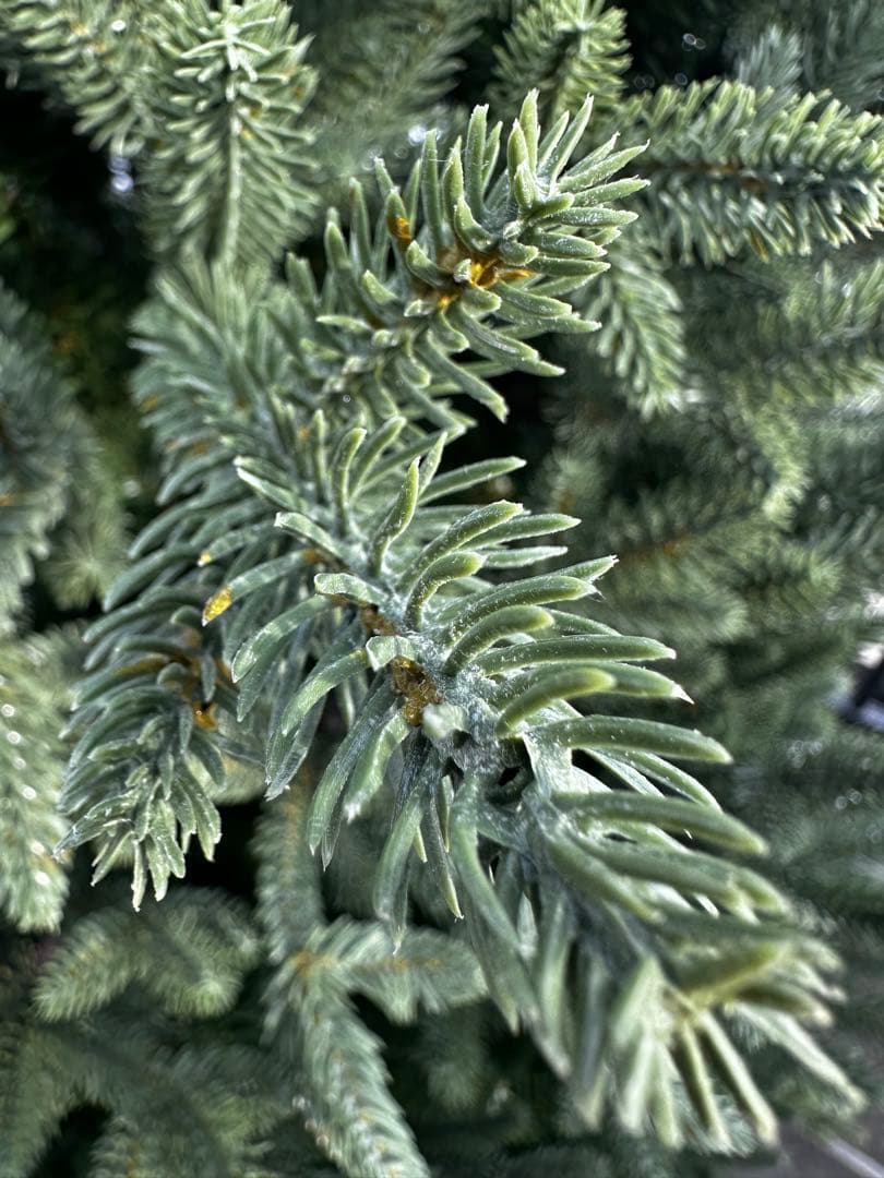 コストコ　200cm 緑色クリスマスツリー