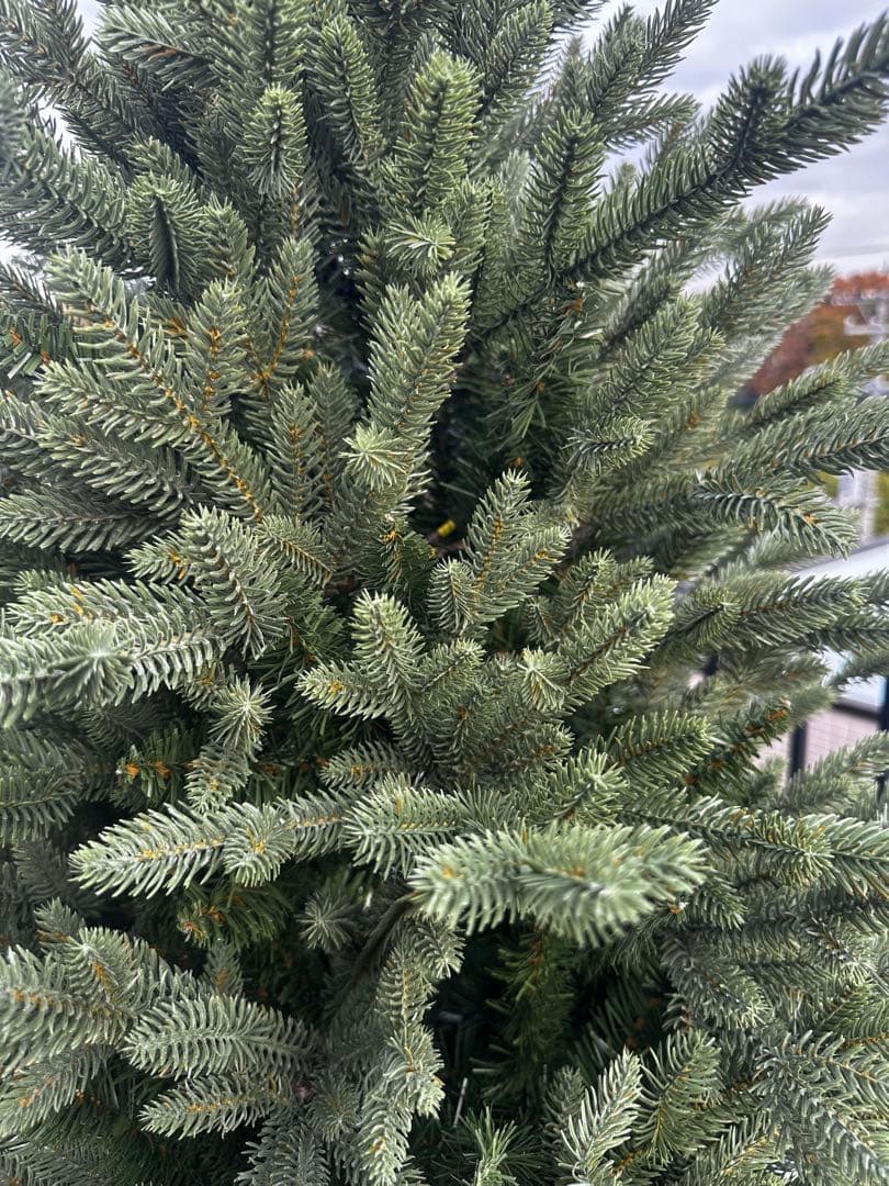 コストコ　200cm 緑色クリスマスツリー