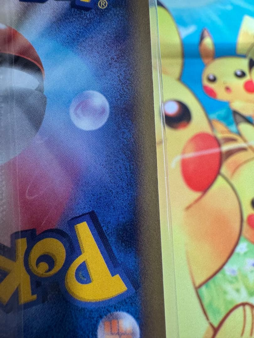 ポケモンカード ポケパークのアチャモ 未開封 プロモ