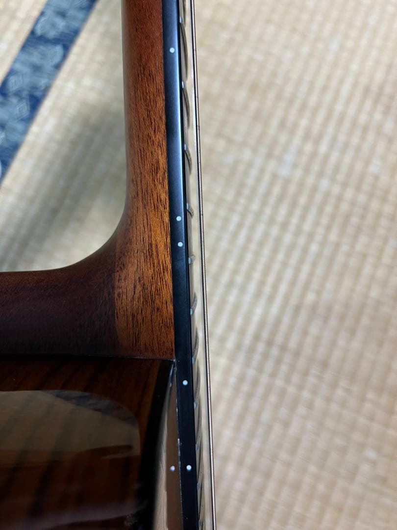 SX SS760E アコースティックギター　エレアコ