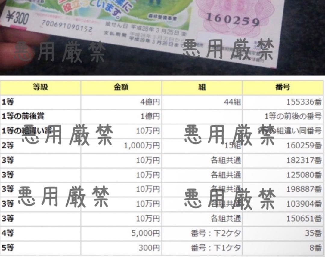 【当選履歴有り・開運】タヒチ産黒蝶真珠リング・13号・pt900