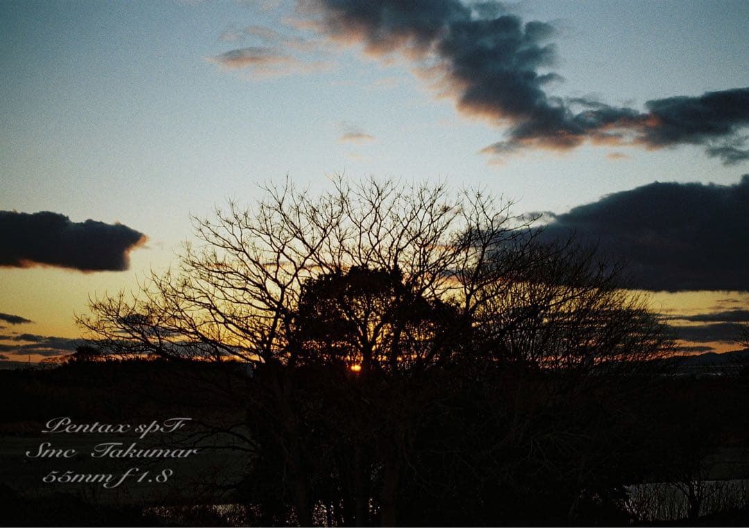 試写作例多数★pentax spf★リザード本革グリーン★美品＊完動品＊初期保証