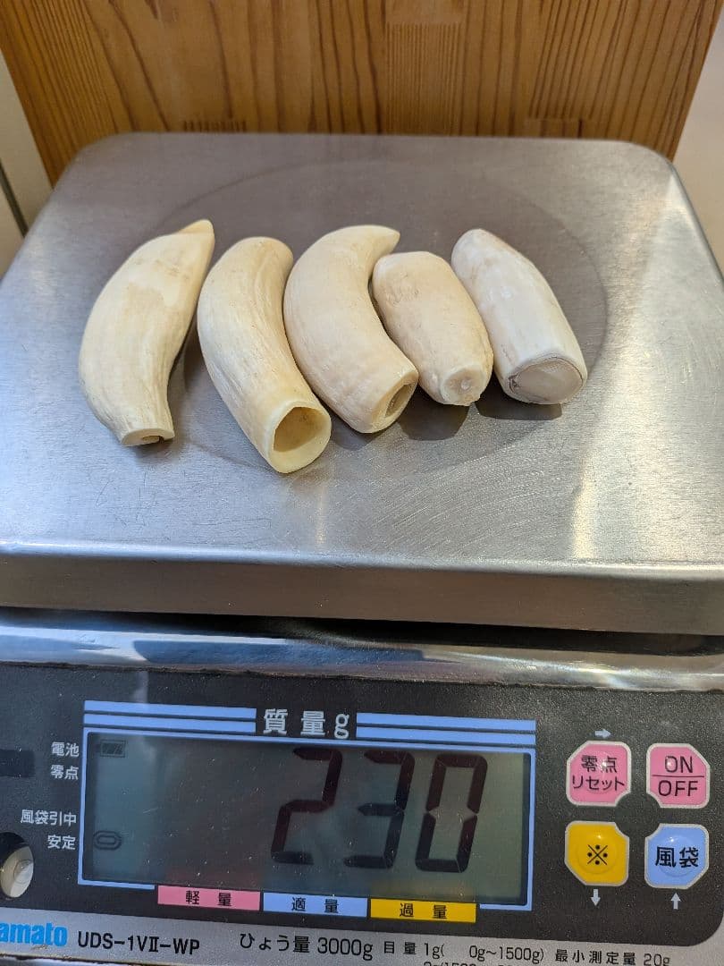 マッコウ鯨歯　本物小サイズ 亀本ページ