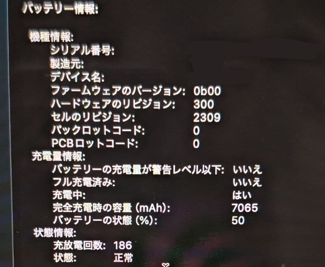 US配列 MacBook Pro2019 16インチ i9 64G 1TB