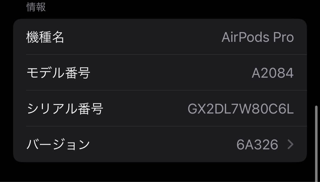 AirPods Pro 第1世代 本体 充電ケース/コード付き
