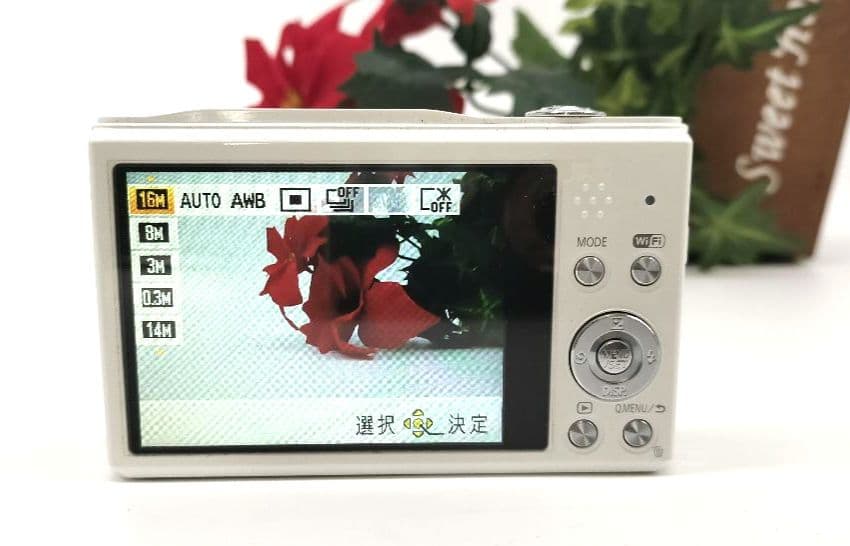 LUMIX DMC-TZ85 16MP コンパクトデジタルカメラ