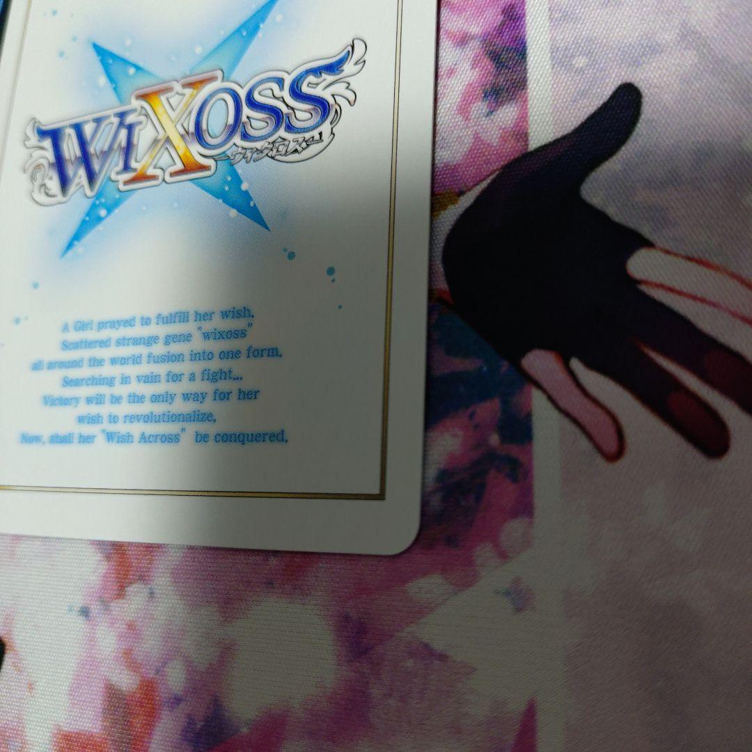 扉の俯瞰者 ウムル＝トレUR１枚