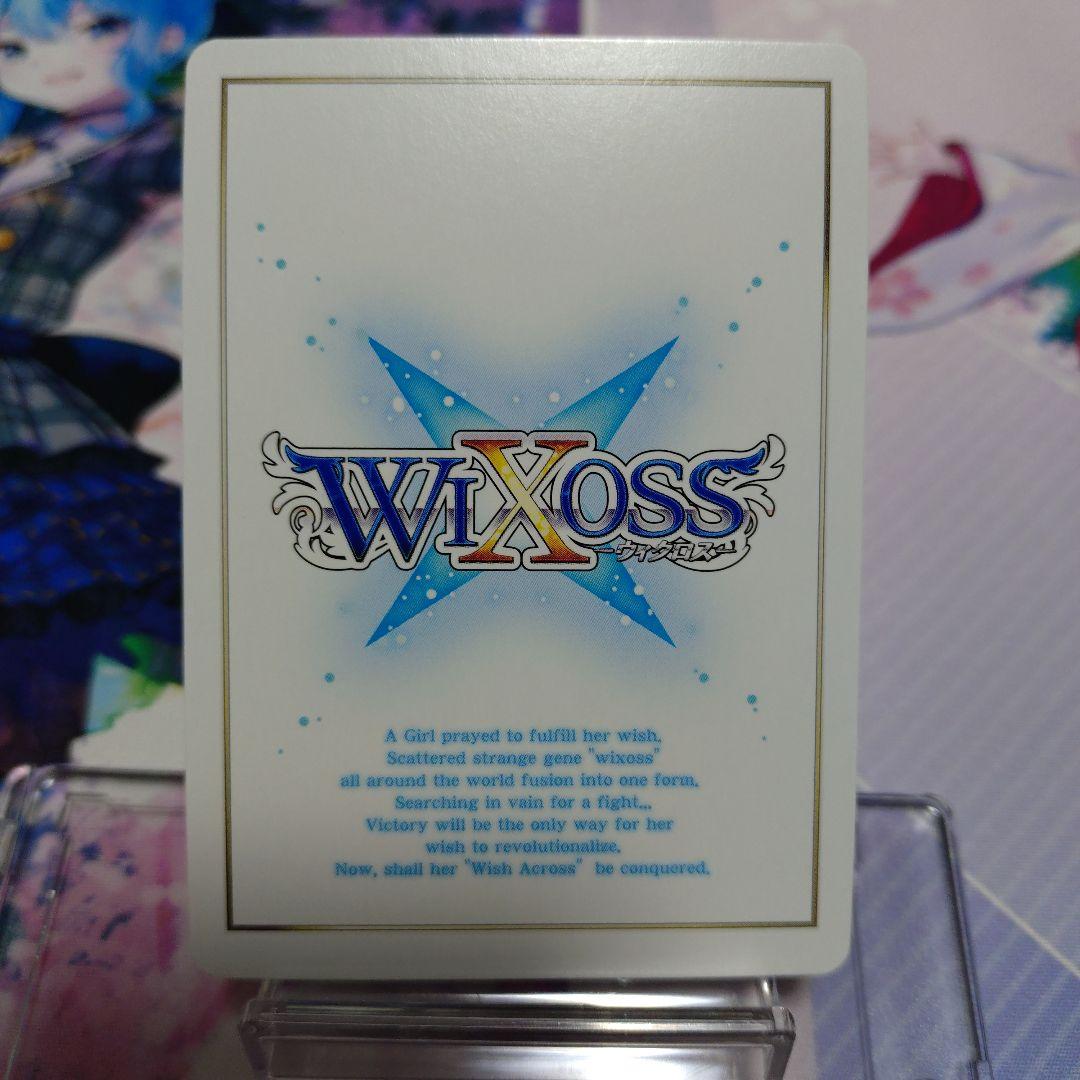 扉の俯瞰者 ウムル＝トレUR１枚