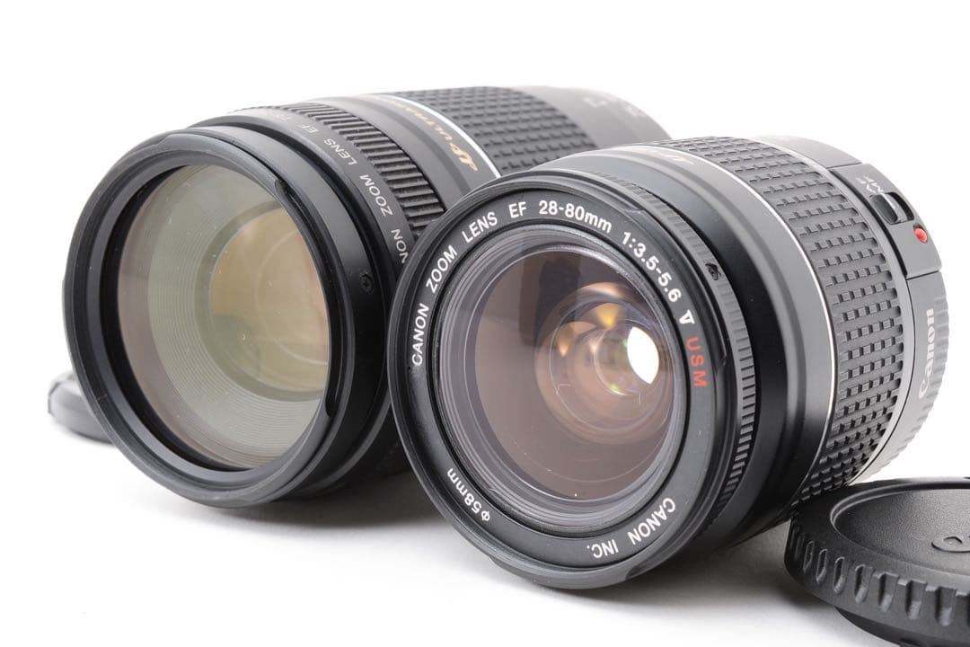 高画質/保証付/Canon EOS 5D Mark IV標準&望遠レンズセット