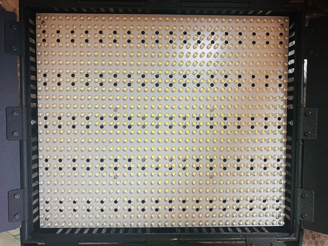 NanGuang CN-900HS 大型スタジオライト 5個