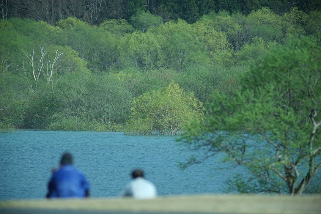 作例付き　TAMRON SP AF 300mm F/2.8 管mpr