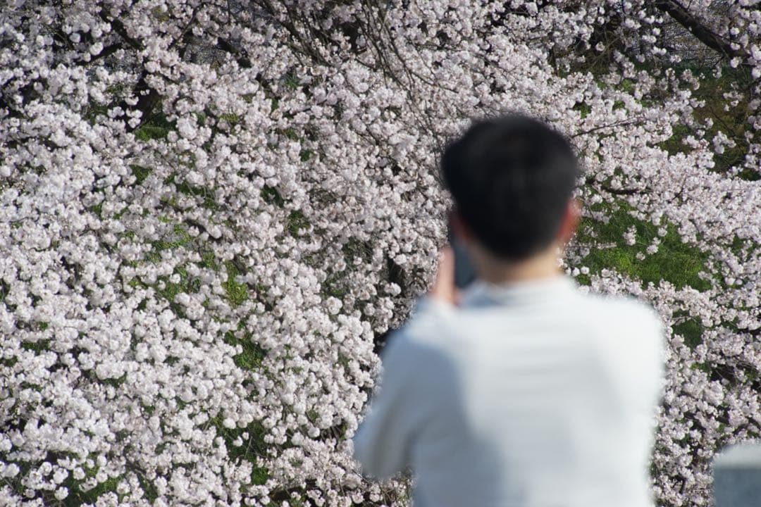 作例付き　TAMRON SP AF 300mm F/2.8 管mpr