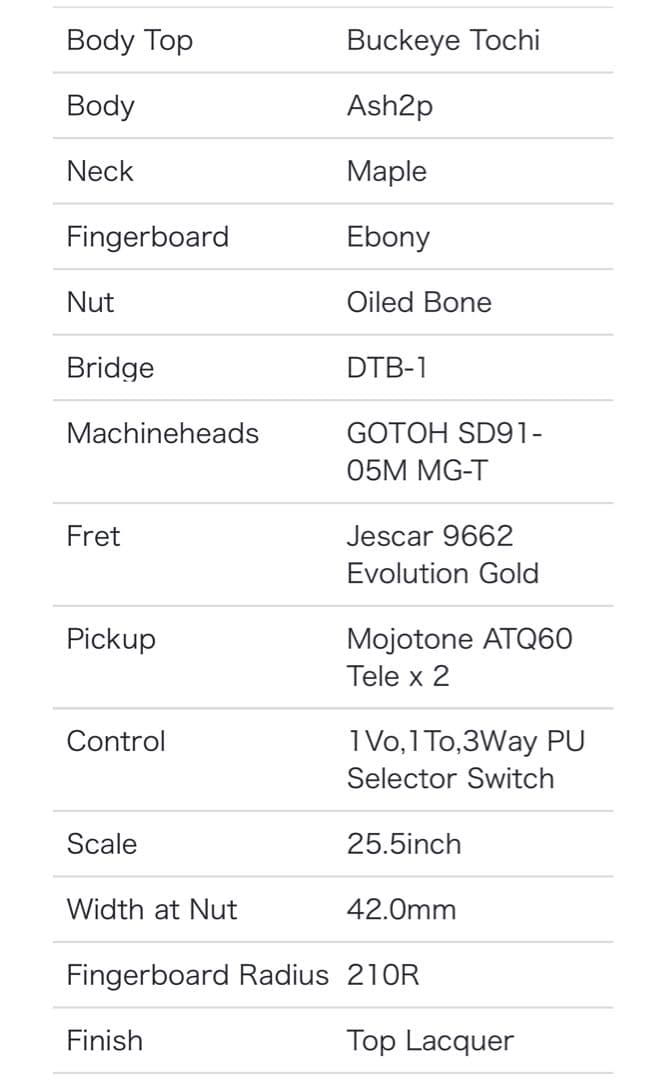 Momose MT-BET ’20WSE テレキャスター ギター