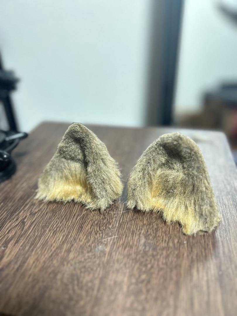 専用購入ページ✩.*˚