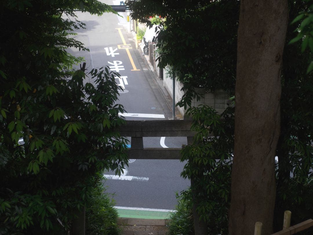 6枚玉 1956年製造 C80mm シルバー メタルショートフード キャップ付属