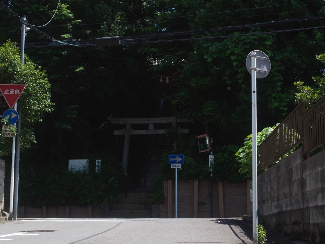 6枚玉 1956年製造 C80mm シルバー メタルショートフード キャップ付属