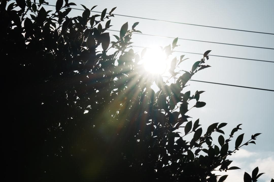 【プロ厳選】今まで撮れなかった写真が撮れるSEL200600G