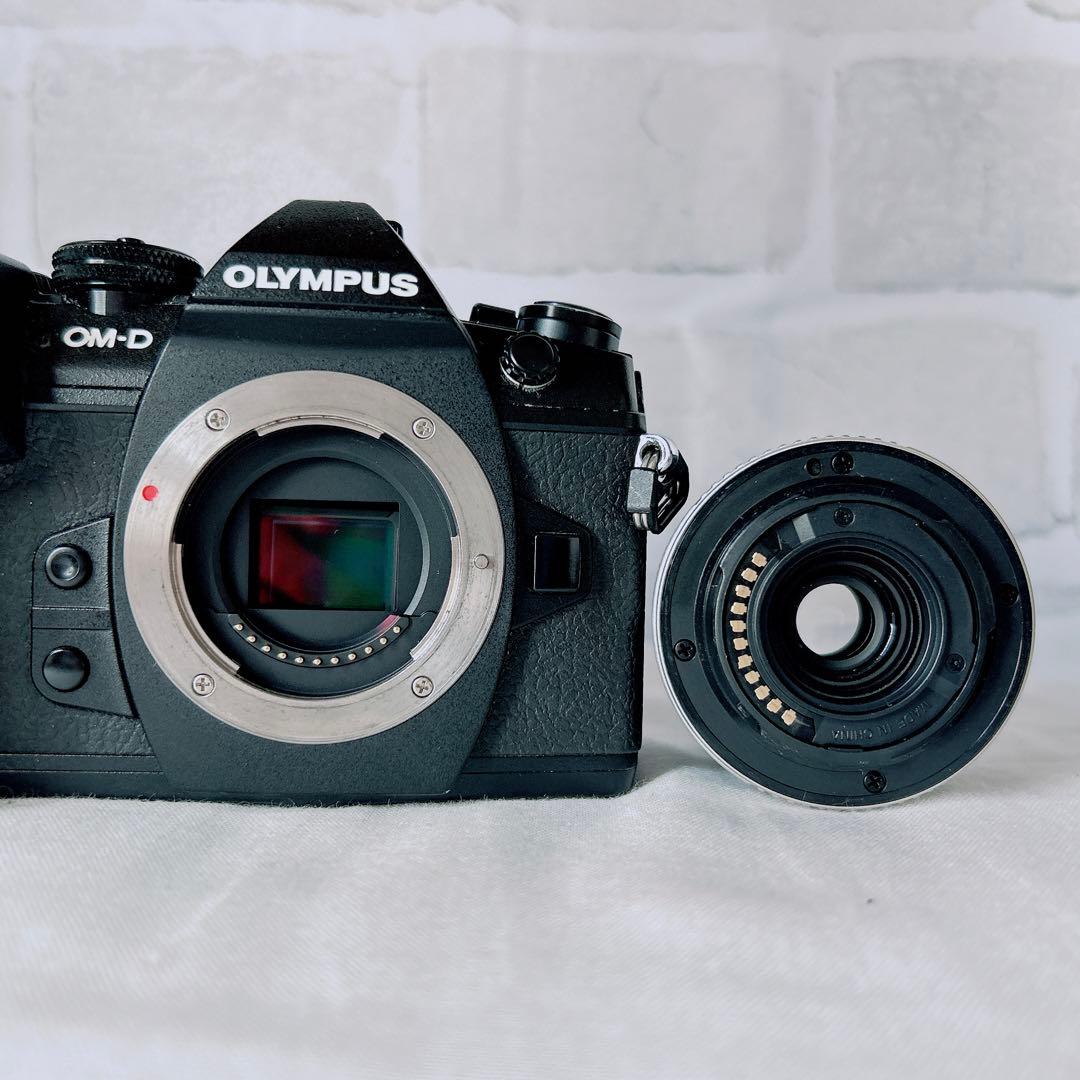 ⭐高性能　OLYMPUS OM-D E-M1 MarkII レンズセット ⭐