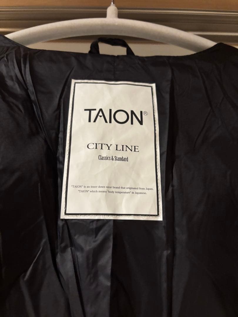 TAIONインナーダウンジャケット Lサイズ