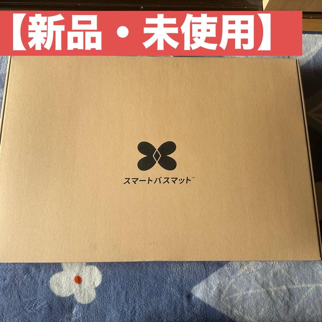 【新品】issin スマートバスマット体組成計モデル SBM24W01LJ