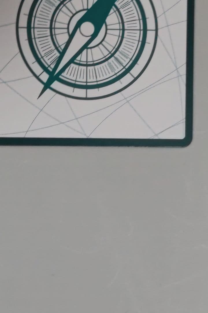 ロビン 金ドン！