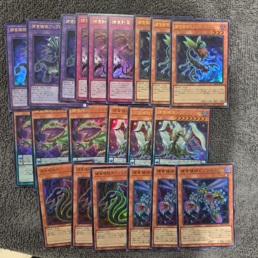 遊戯王 捕食植物/プレデタープランツ アシストパック　再録ウルトラ　３コン