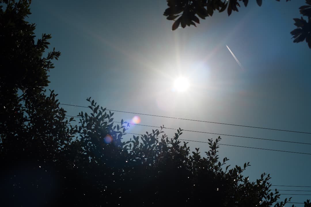 【極美品】動作◎ Minolta AF 50mm F1.4 ミノルタ 777