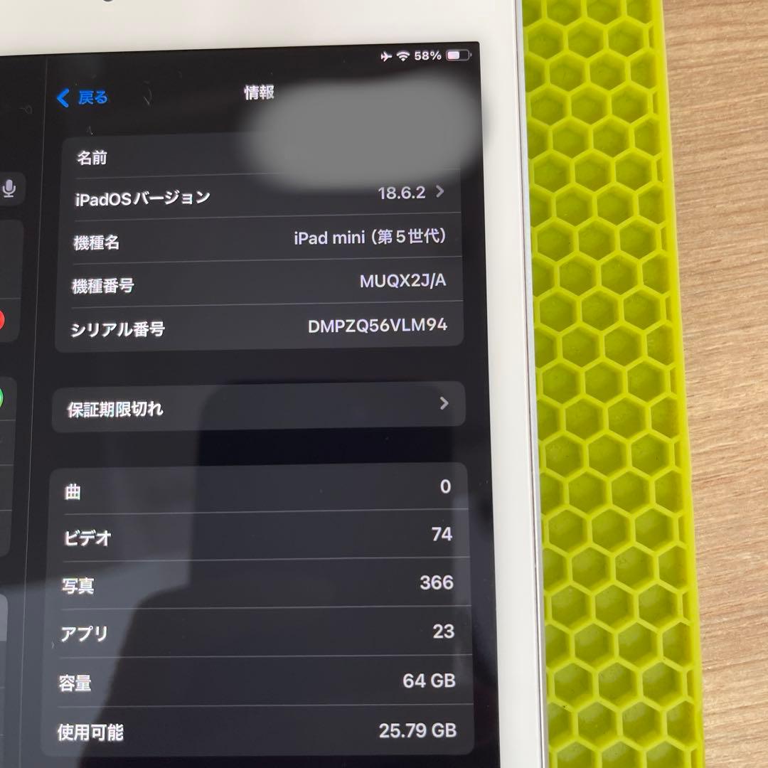 美品 iPad mini 5 (第5世代) Wi-Fiモデル 64GB アップル