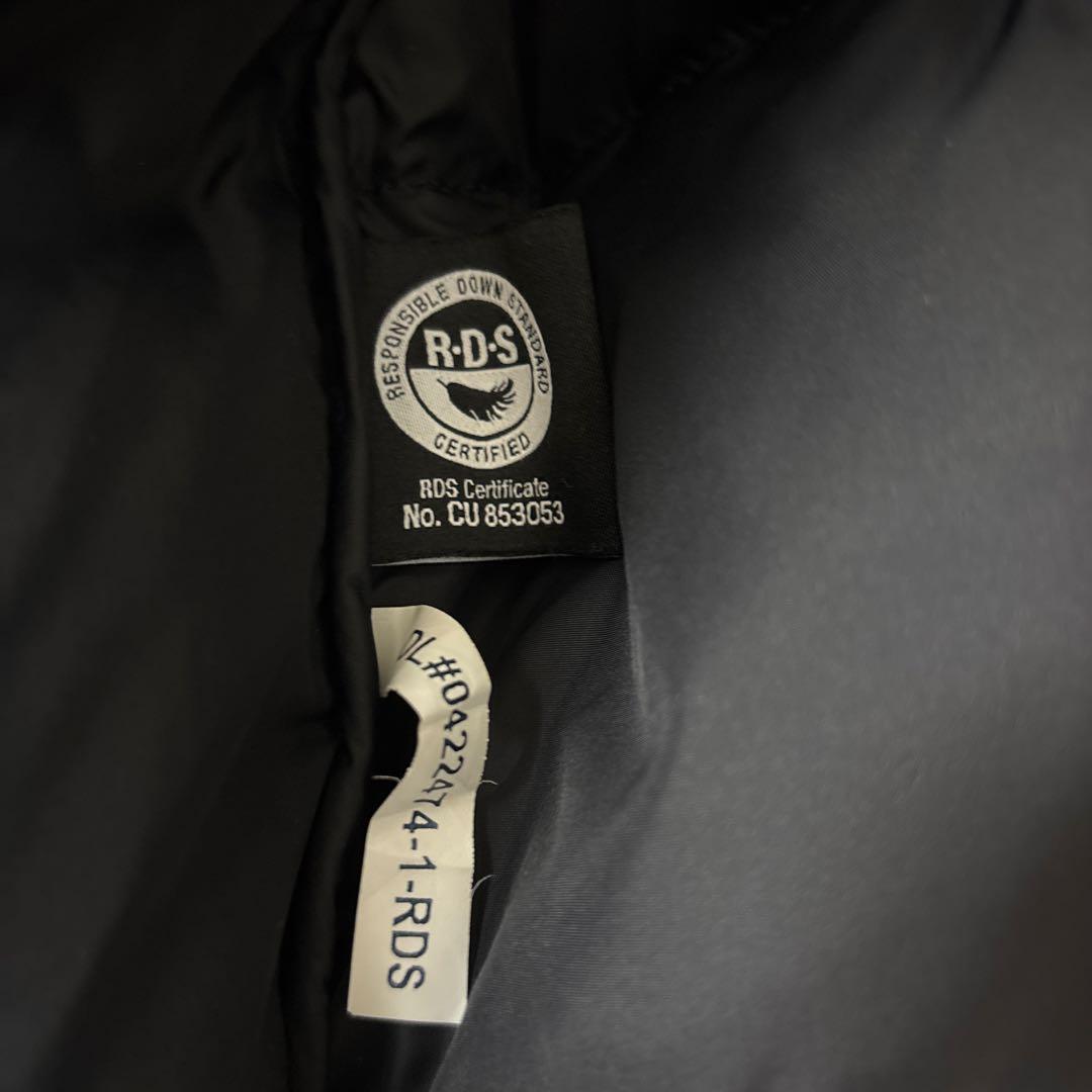 ノースフェイス ダウンジャケット エコヌプシ