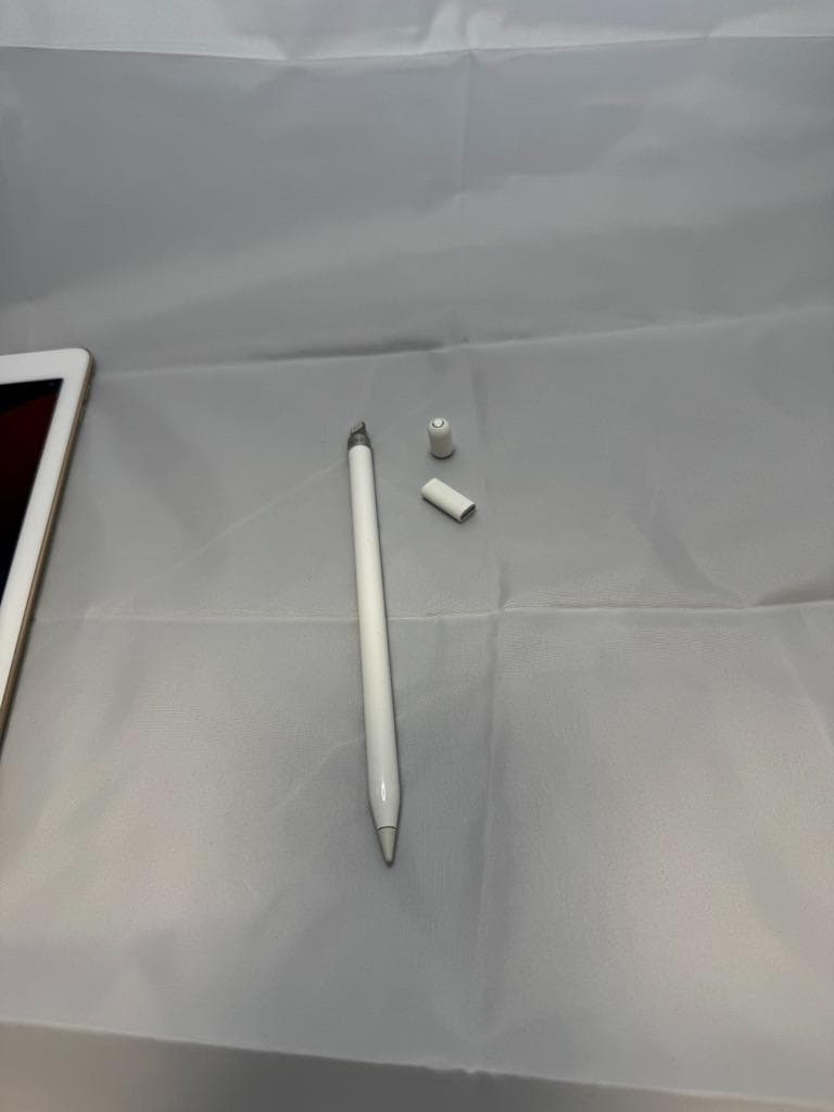 【年内売切】iPad Pro 9.7 256GB Cellular+ペン