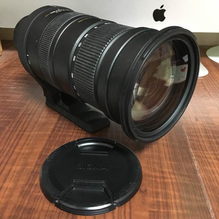 SIGMA 50-500mm 1:4.5-6.3 APO （キャノン用）