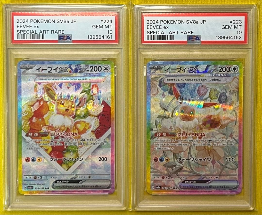 ポケモンカード PSA10 イーブイex SAR 連番 テラスタルフェスex