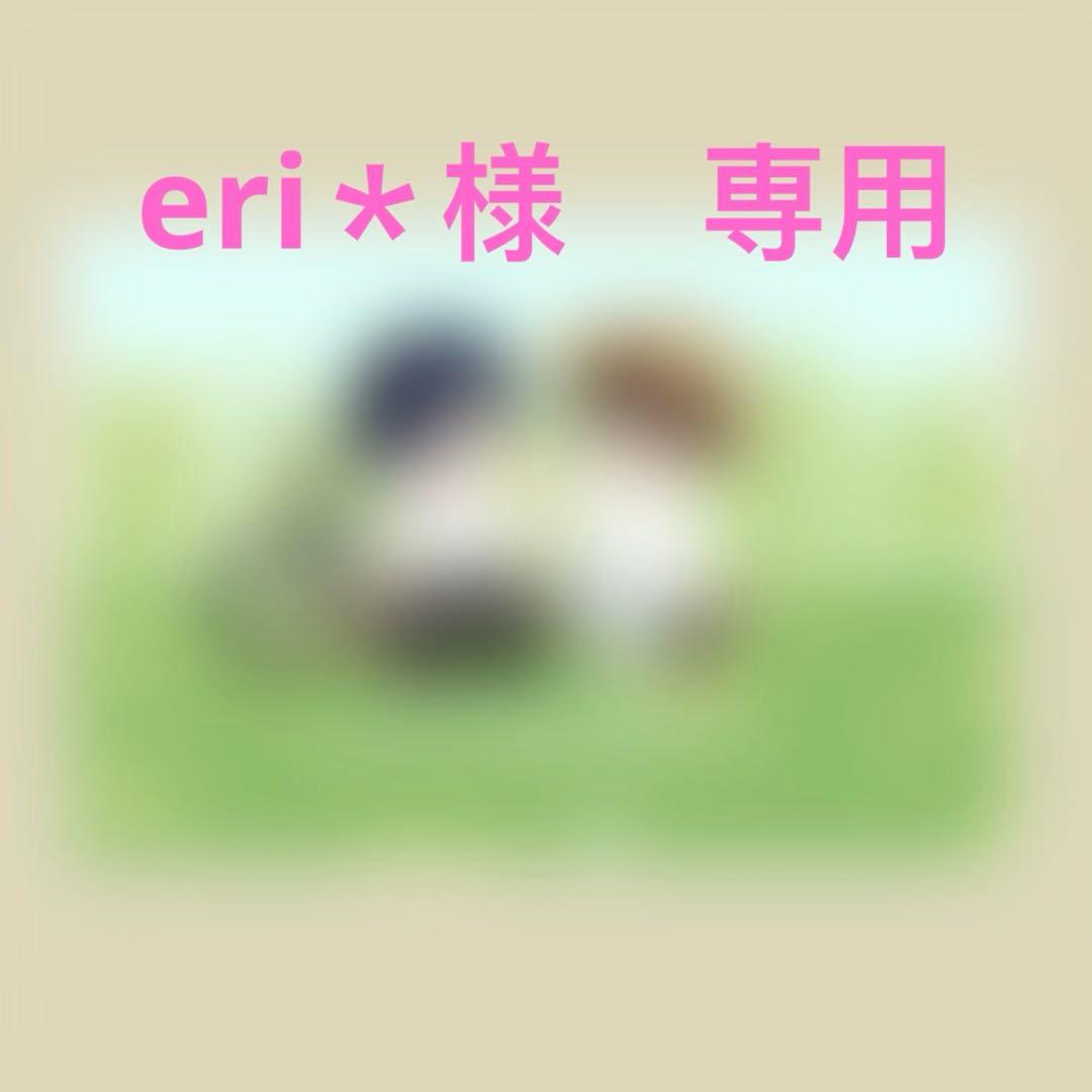 eri＊