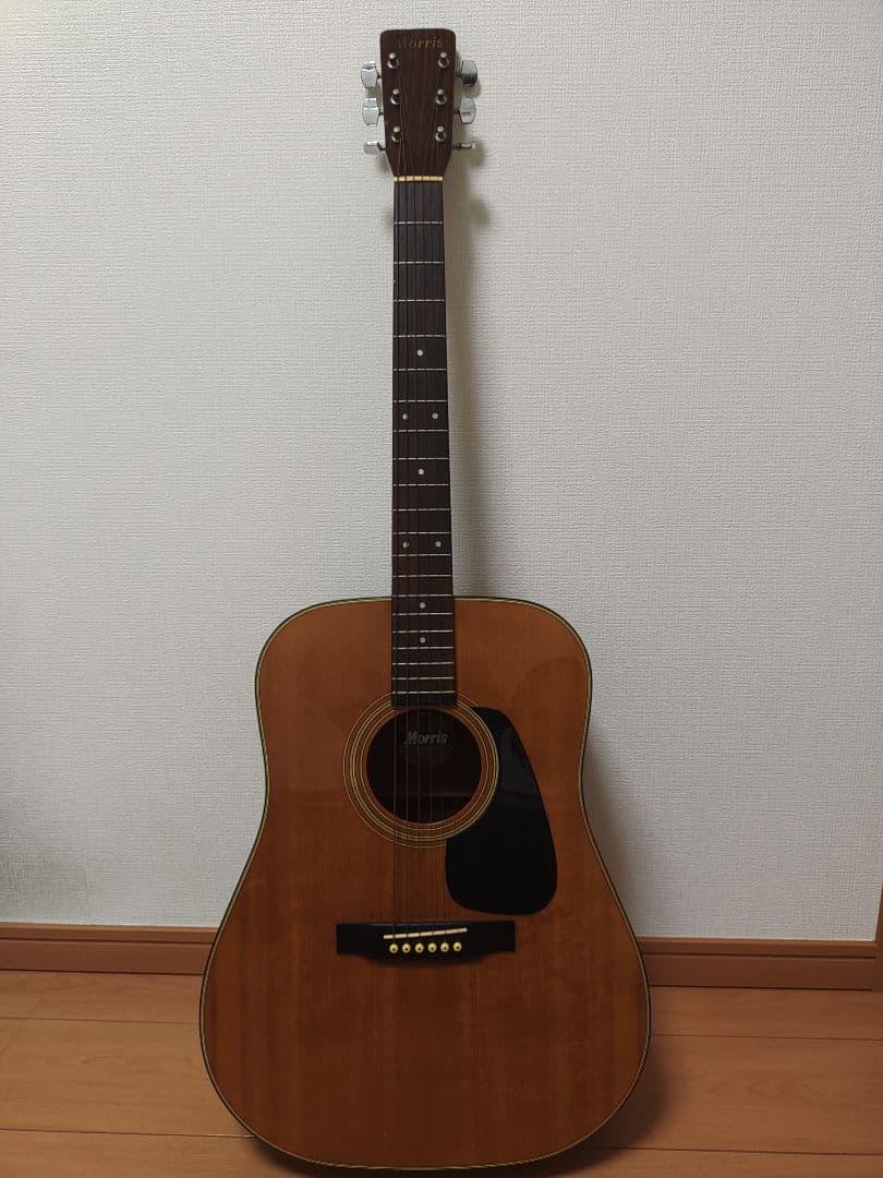 Morris MD502 アコースティックギター