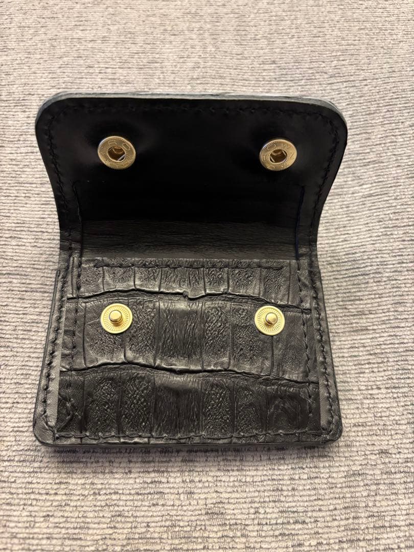 ワイルドスワンズ　タング風　ケース