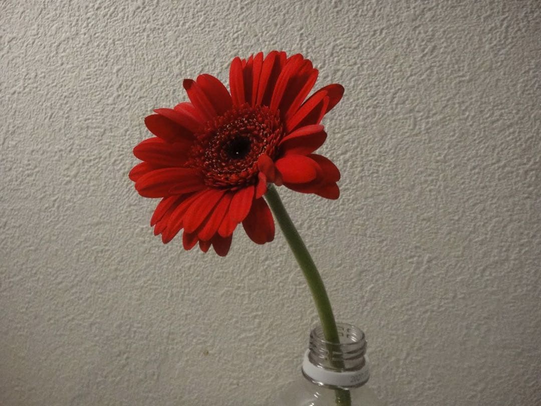 【動作確認済み】Sony Cyber-shot DSC-TX1 シルバー