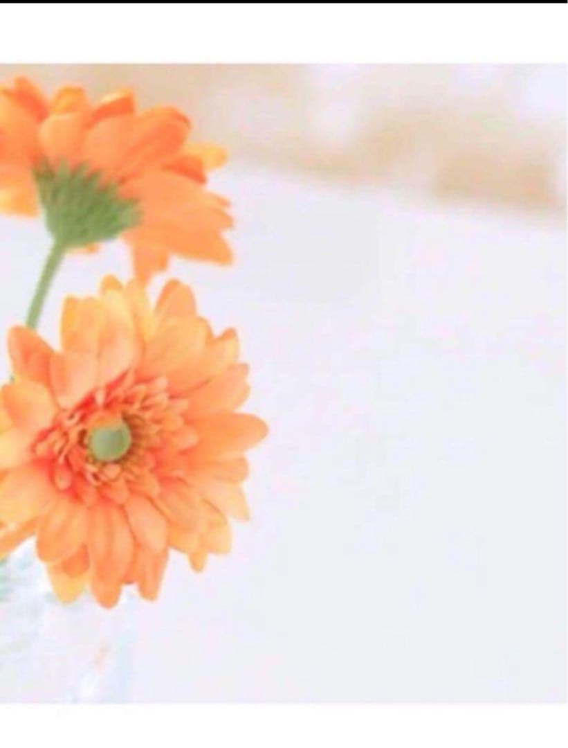 ぽぽちゃん様 エクストラクレンジングオイル2本