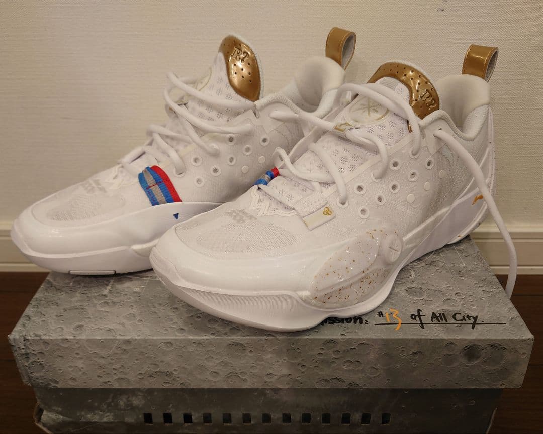 シューズ(男性用) Wade All City13(US9)